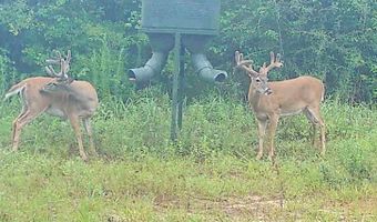 Harry Priddy Road, Americus, GA 31719