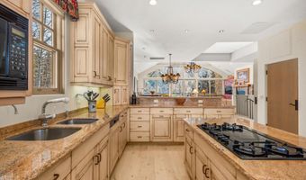 990 E Hopkins Ave, Aspen, CO 81611