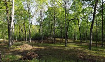 KAW-LIGA Dr, Bath Springs, TN 38311