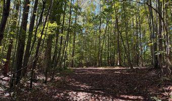 Coleman Mountain Road, Appomattox, VA 24522