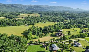 1180 Keller Rd, Afton, TN 37616