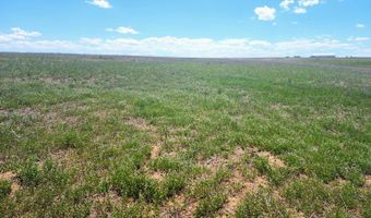 TBD County Road 162, Agate, CO 80101
