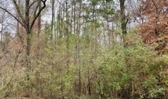 ALTHEA Loop lot 43, Alexander City, AL 35010