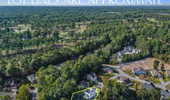 96 Dogwood Cottage Ct, Blythewood, SC 29016