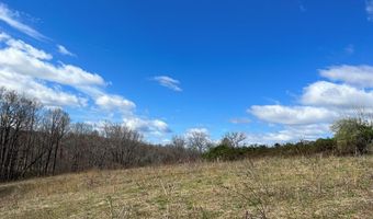 Friends Mission Road lot 4010-19-1, Ararat, VA 24053