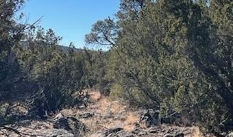 N8689 lot 002P, Concho, AZ 85924