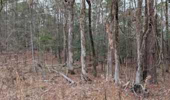 Lots B & C Miller Road, Camden, SC 29020