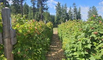 905 N Cedar View Dr, Blanchard, ID 83804