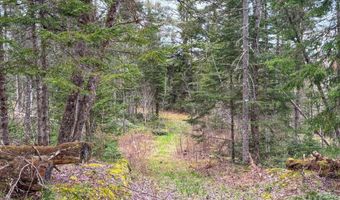 Atwood Road lot 4, Brighton, VT 05846