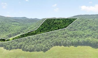 192 Puncheon Creek Ln, Allred, TN 38542
