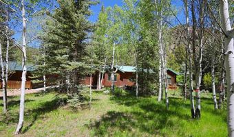 11109 County Road 742, Almont, CO 81210