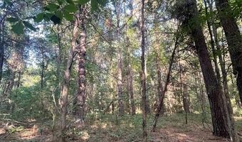 Tbd FM 44 E, De Kalb, TX 75559