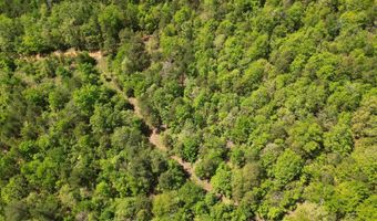 TRACT 40 TRAIL RIDGE ROAD, Albion, OK 74571