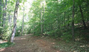 TBA BETTYS BRANCH RD X, Arvonia, VA 23004