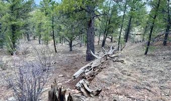 Lot 5 Holmes Rd, Cotopaxi, CO 81223