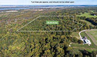 County Road 1320 lot Between County Roads 1324, Bardwell, KY 42023
