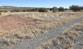 29 A N8478, Concho, AZ 85924