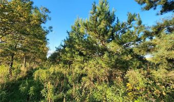 2051 120th St, Balaton, MN 56115