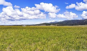 17 Gray Ln, Cascade, ID 83611