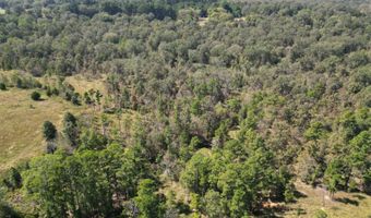 N80 Helt Rd, Antlers, OK 74525