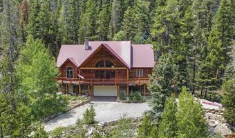 1463 County Road 744, Almont, CO 81210