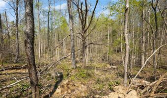 Martha Stockton Road, Albany, KY 42602