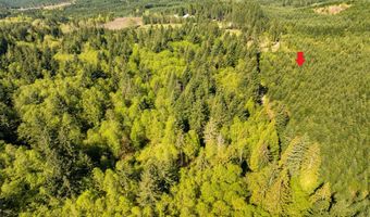 NW Hidden Mountain Dr, Banks, OR 97106