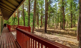 56 Co Rd 2266, Alpine, AZ 85920