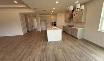 903 Pointe Emerson Blvd, Apopka, FL 32703