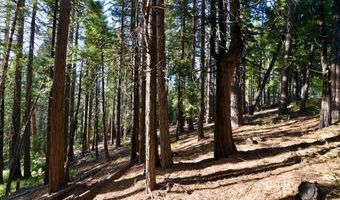 4741 Meko Dr, Camp Connell, CA 95223