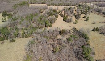 000 County Road 413, Alton, MO 65606