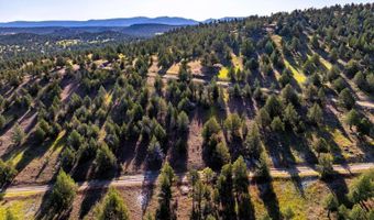 737 Raccoon Ln, Alturas, CA 96101