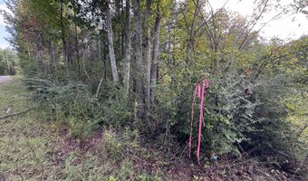 741 SE Hughs Hill Ln, Brookhaven, MS 39601