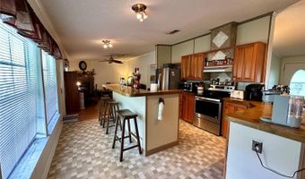 56233 WATER OAK Rd, Astor, FL 32102