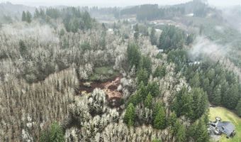 NE 197th Ct, Amboy, WA 98601