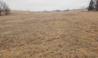 56626 868 Rd, Belden, NE 68717