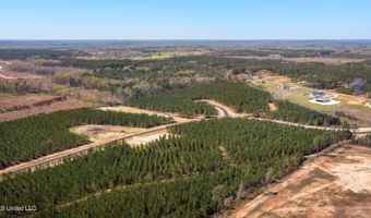 728 Freedom Ridge Ln Lot 22, Brandon, MS 39047