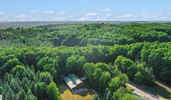 8157 NW Kellogg Rd, Alden, MI 49612