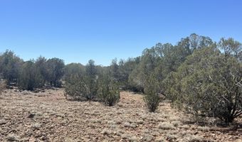 10 N2 Off Of Looking Glass, Ash Fork, AZ 86320