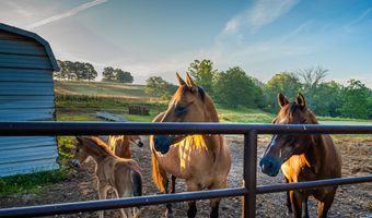 6152 County Road O-527, Ava, MO 65608