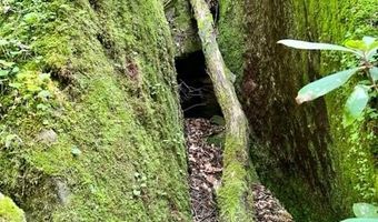 Coperas Cave Branch, Beattyville, KY 41311
