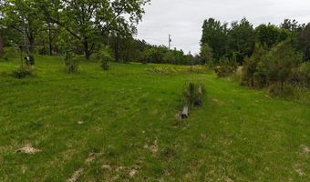 178 Lester Plunk Rd, Bethel Springs, TN 38315