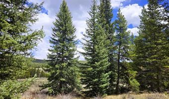 PCS # 10594 Looney Lane lot 0, Alma, CO 80420