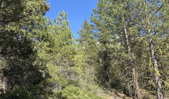 Thunderbear Road 46, Bonanza, OR 97623
