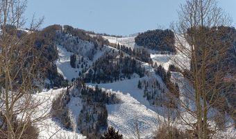 566 Race St, Aspen, CO 81611