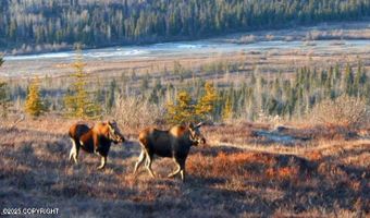 L2 Purinton Creek Trail, Chickaloon, AK 99674