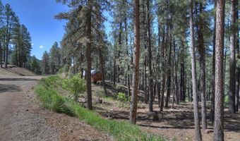 277 297 Pine Top Dr, Bayfield, CO 81122