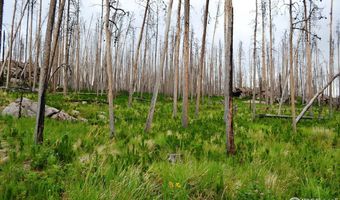 2025 Granite Rd, Bellvue, CO 80512
