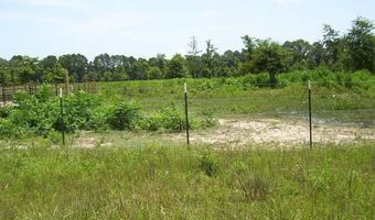 138 Little River 183, Ashdown, AR 71822
