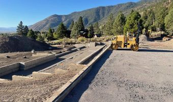 2480 Eagle Ridge Rd, Genoa, NV 89411